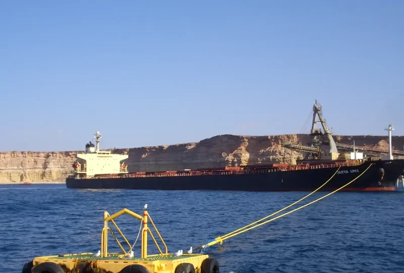 APJ KABIR ANAND Bulk Carrier IMO 9288411 photo 2
