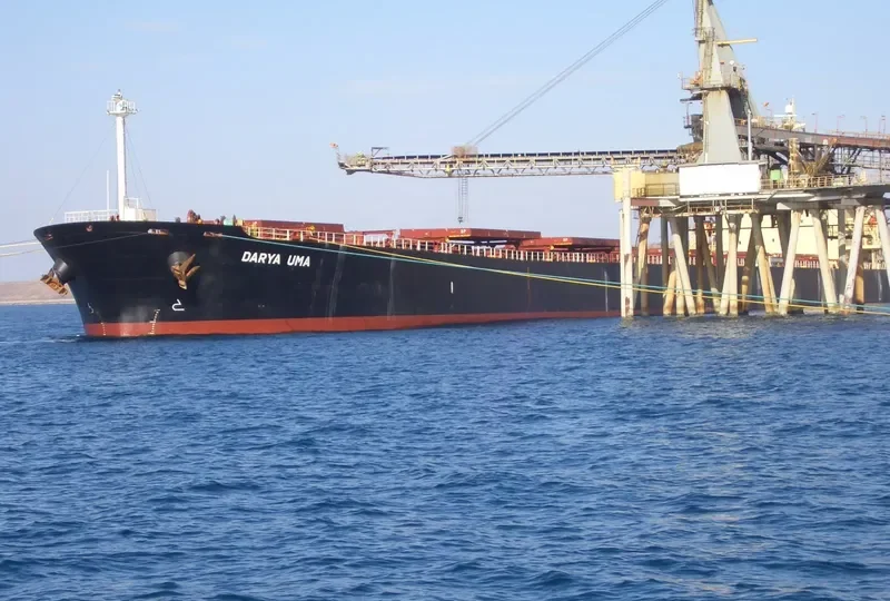 APJ KABIR ANAND Bulk Carrier IMO 9288411 photo 3