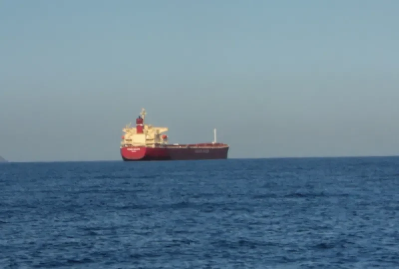 APJ KABIR ANAND Bulk Carrier IMO 9288411 photo 4