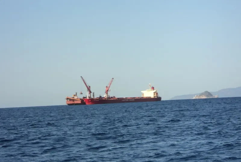 APJ KABIR ANAND Bulk Carrier IMO 9288411 photo 5
