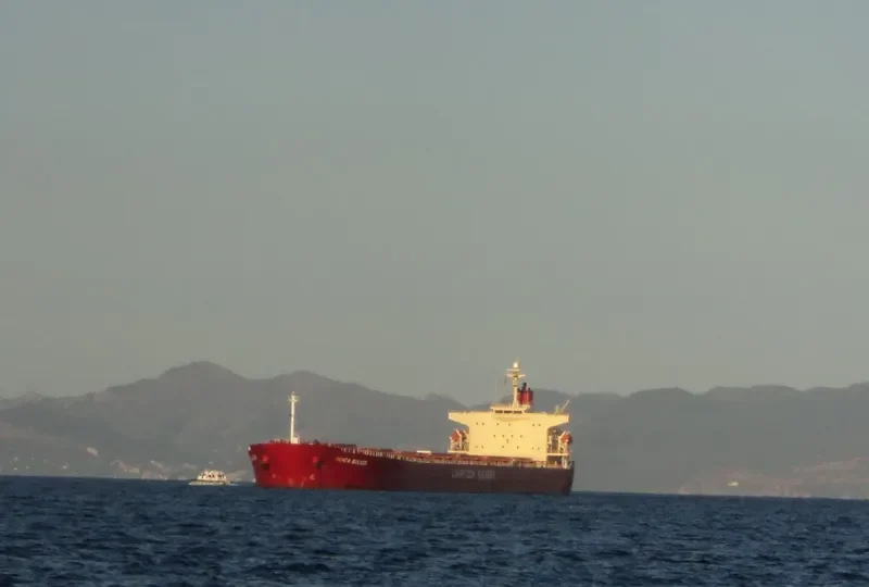 APJ KABIR ANAND Bulk Carrier IMO 9288411 photo 6
