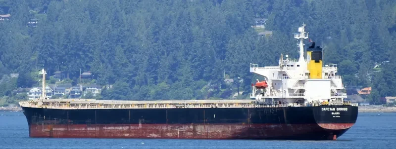 CAPETAN GIORGIS Bulk Carrier IMO 9288423