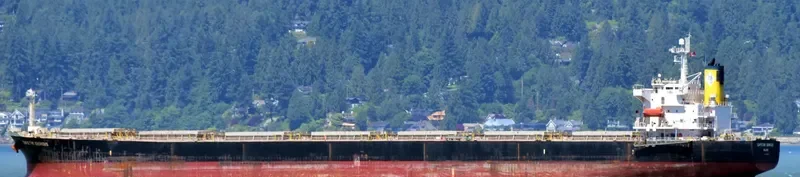 CAPETAN GIORGIS Bulk Carrier IMO 9288423 photo 2