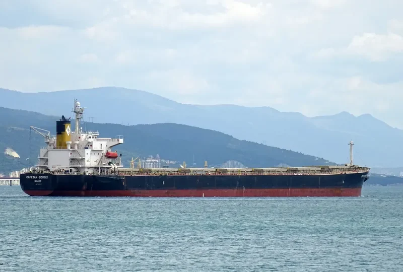 CAPETAN GIORGIS Bulk Carrier IMO 9288423 photo 7