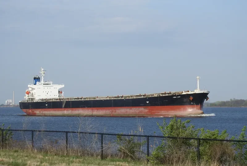 AQUA LADY Bulk Carrier IMO 9288435