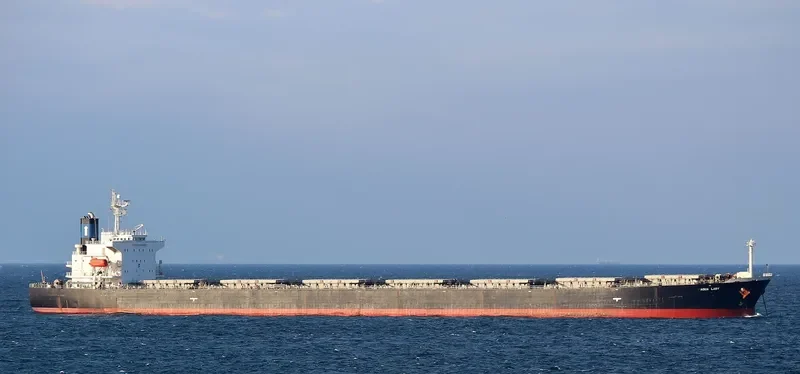 AQUA LADY Bulk Carrier IMO 9288435 photo 2