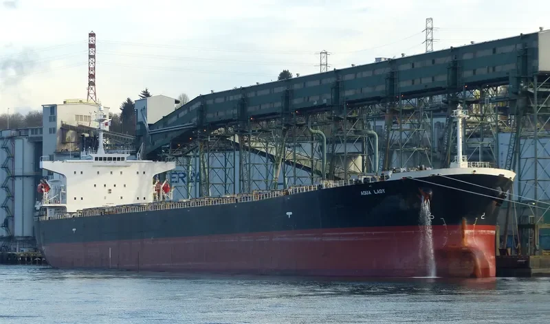 AQUA LADY Bulk Carrier IMO 9288435 photo 3