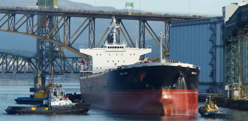 AQUA LADY Bulk Carrier IMO 9288435 photo 4