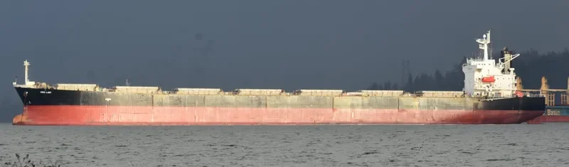 AQUA LADY Bulk Carrier IMO 9288435 photo 5