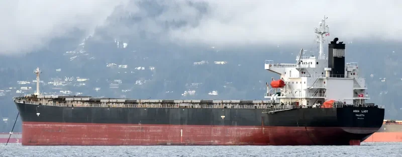 AQUA LADY Bulk Carrier IMO 9288435 photo 6
