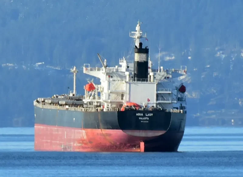 AQUA LADY Bulk Carrier IMO 9288435 photo 7