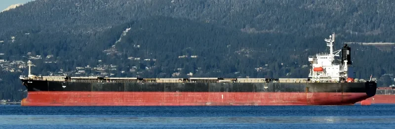 AQUA LADY Bulk Carrier IMO 9288435 photo 8