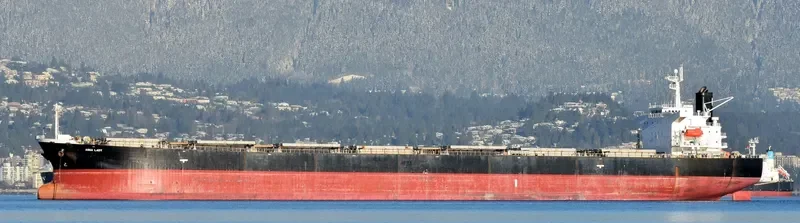AQUA LADY Bulk Carrier IMO 9288435 photo 9