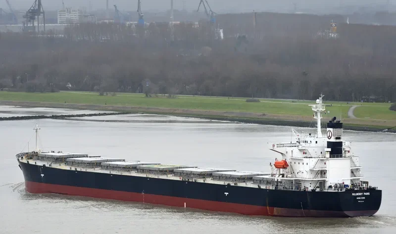 AQUA LADY Bulk Carrier IMO 9288435 photo 10