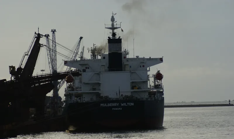MAGIC P Bulk Carrier IMO 9288447