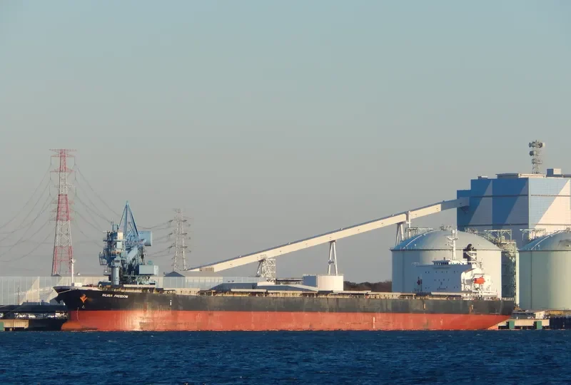 MAGIC P Bulk Carrier IMO 9288447 photo 2