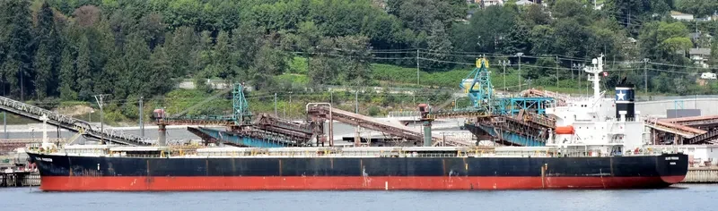 MAGIC P Bulk Carrier IMO 9288447 photo 3