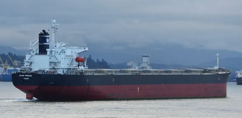 MAGIC P Bulk Carrier IMO 9288447 photo 4