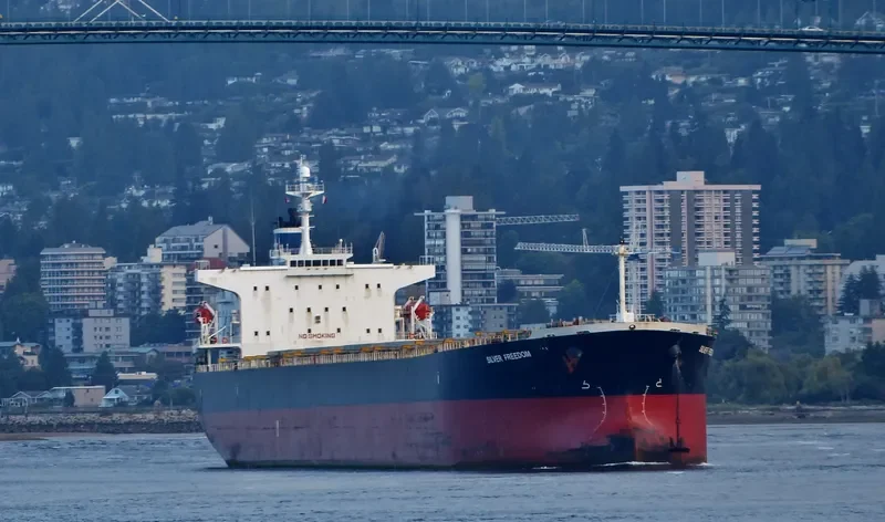 MAGIC P Bulk Carrier IMO 9288447 photo 6