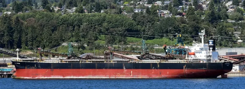MAGIC P Bulk Carrier IMO 9288447 photo 7