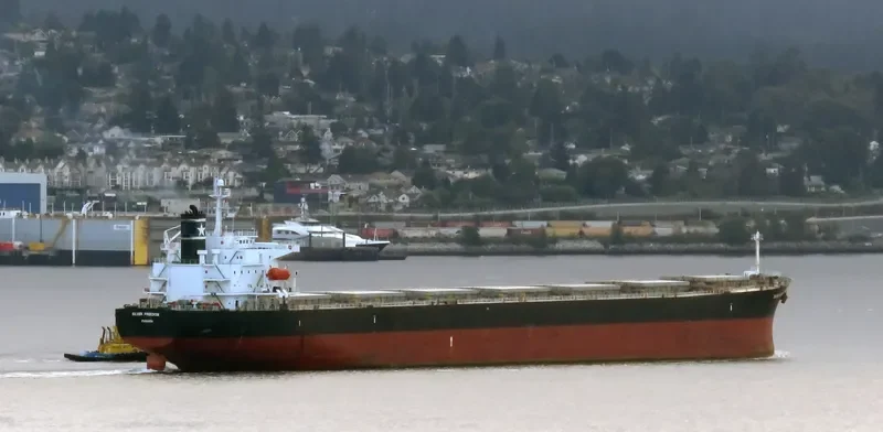 MAGIC P Bulk Carrier IMO 9288447 photo 8