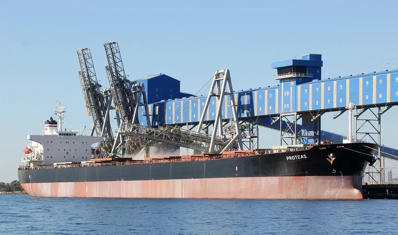 PROTEAS Bulk Carrier IMO 9288459