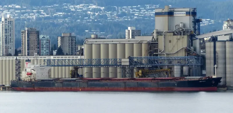 PROTEAS Bulk Carrier IMO 9288459 photo 3
