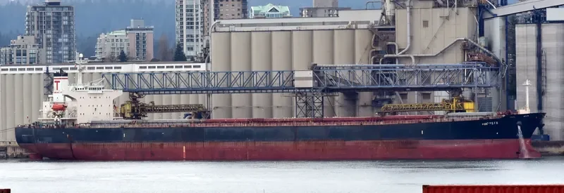 PROTEAS Bulk Carrier IMO 9288459 photo 4