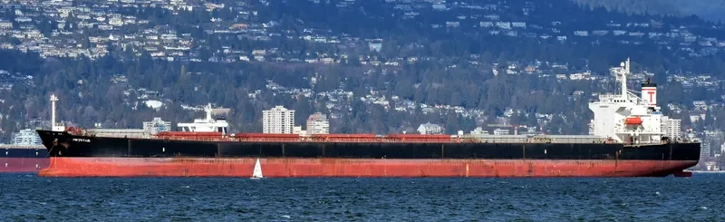 PROTEAS Bulk Carrier IMO 9288459 photo 5