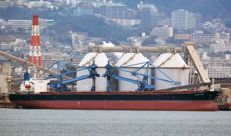 PROTEAS Bulk Carrier IMO 9288459 photo 7