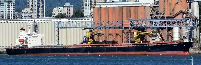 PROTEAS Bulk Carrier IMO 9288459 photo 8
