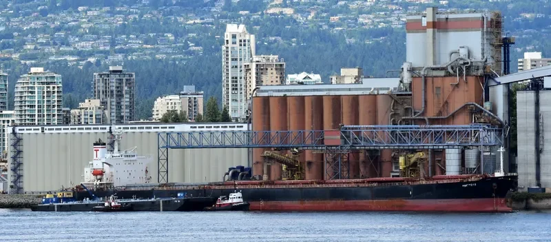 PROTEAS Bulk Carrier IMO 9288459 photo 9