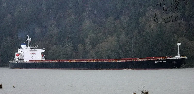 GORGOYPIKOOS Bulk Carrier IMO 9288461