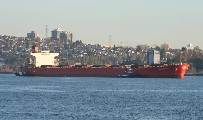 GORGOYPIKOOS Bulk Carrier IMO 9288461 photo 6