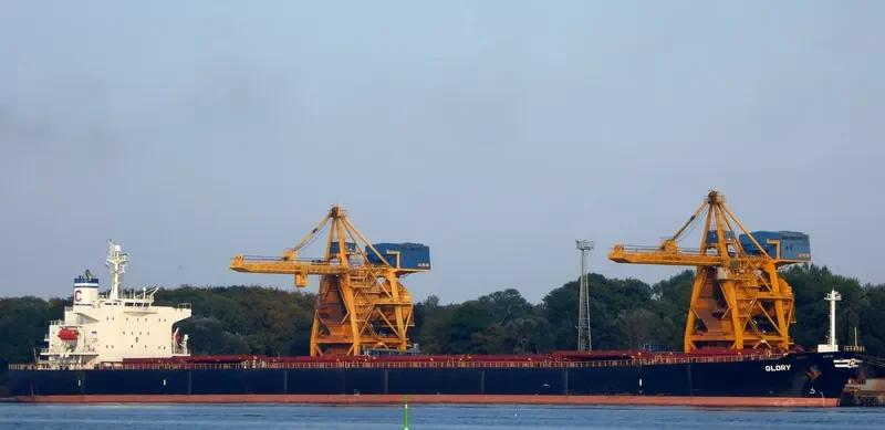 GLORY Bulk Carrier IMO 9288473 photo 4