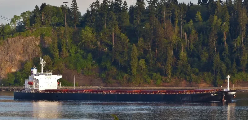 GLORY Bulk Carrier IMO 9288473 photo 5