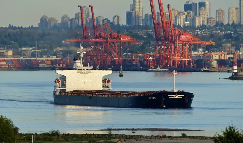 GLORY Bulk Carrier IMO 9288473 photo 6