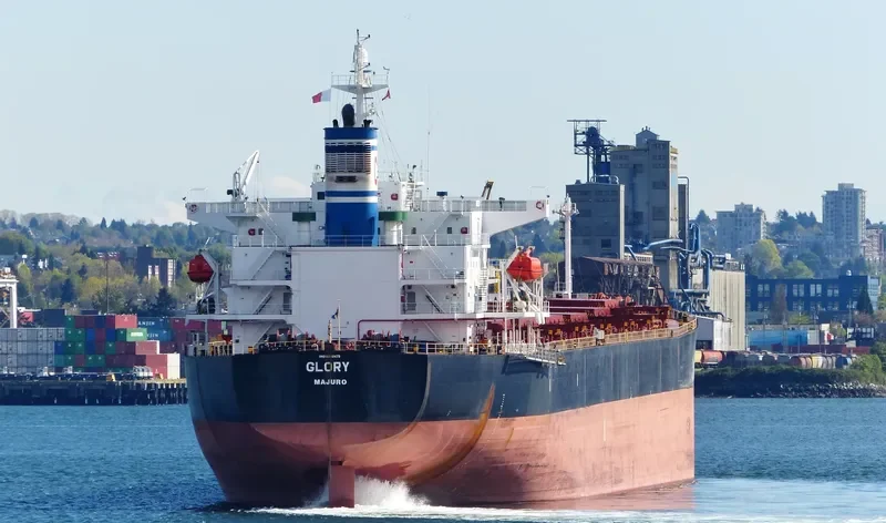 GLORY Bulk Carrier IMO 9288473 photo 8