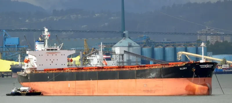 GLORY Bulk Carrier IMO 9288473 photo 10