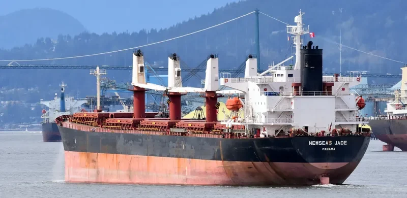 NEWSEAS JADE Bulk Carrier IMO 9288485
