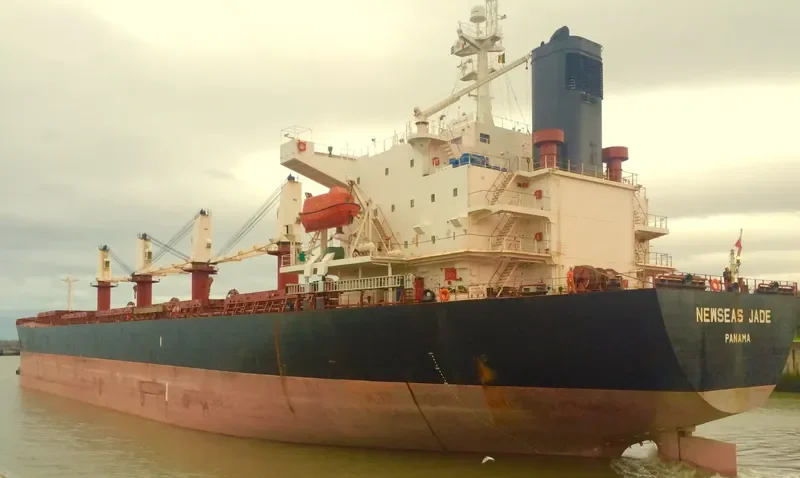NEWSEAS JADE Bulk Carrier IMO 9288485 photo 7