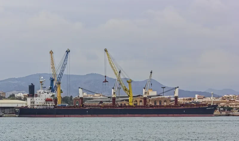 NEWSEAS JADE Bulk Carrier IMO 9288485 photo 9