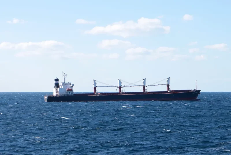 AM OCEAN SILVER Bulk Carrier IMO 9288497 photo 2