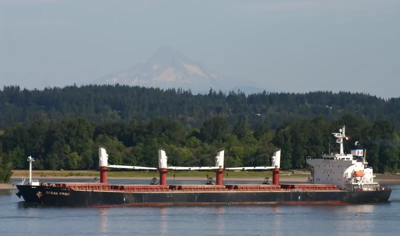 AM OCEAN SILVER Bulk Carrier IMO 9288497 photo 9
