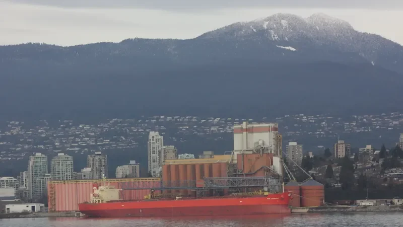 MINOAN COURAGE Bulk Carrier IMO 9288526 photo 5