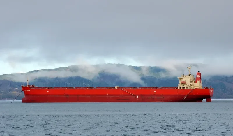 MINOAN COURAGE Bulk Carrier IMO 9288526 photo 8