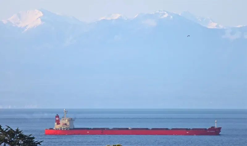 MINOAN COURAGE Bulk Carrier IMO 9288526 photo 9