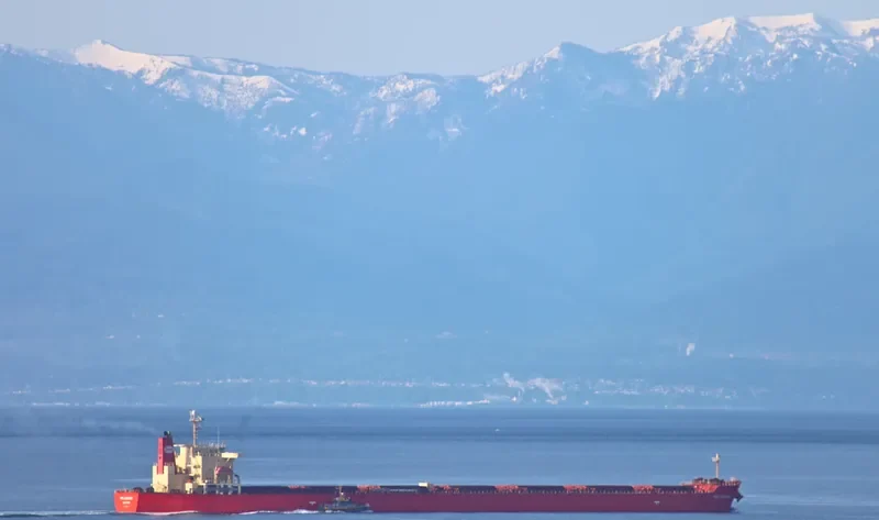 MINOAN COURAGE Bulk Carrier IMO 9288526 photo 10