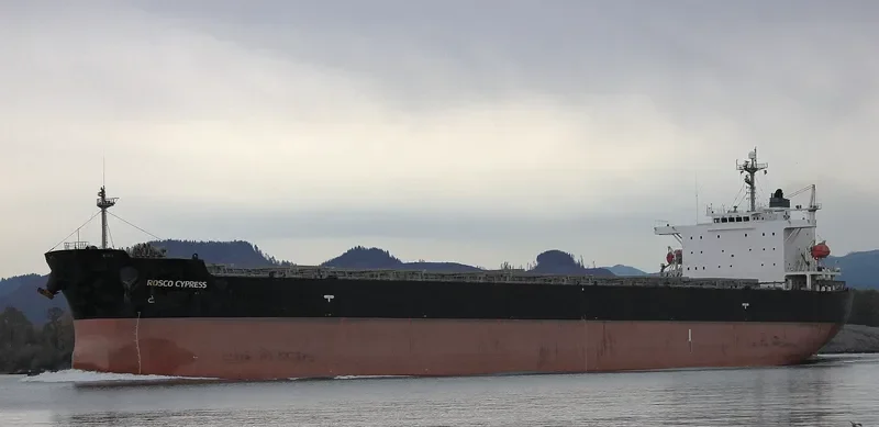 ROSCO CYPRESS Bulk Carrier IMO 9288538 photo 2