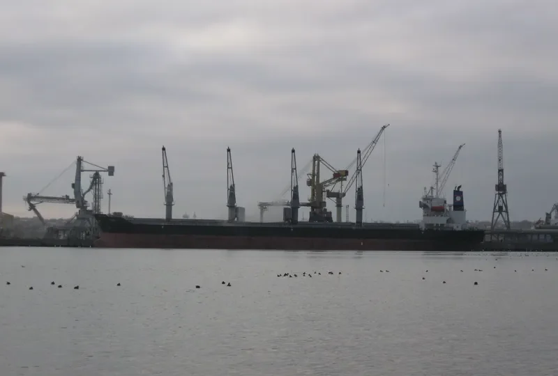 PANDA Bulk Carrier IMO 9288540